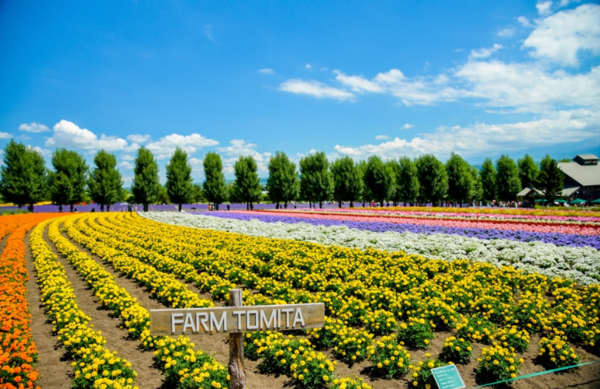 홋카이도 ⓒ스카이스캐너